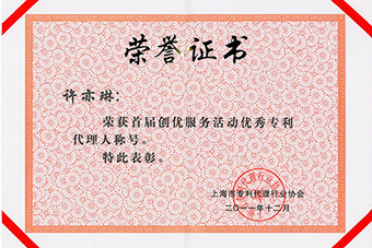 Excellent Patent Agent Certificate